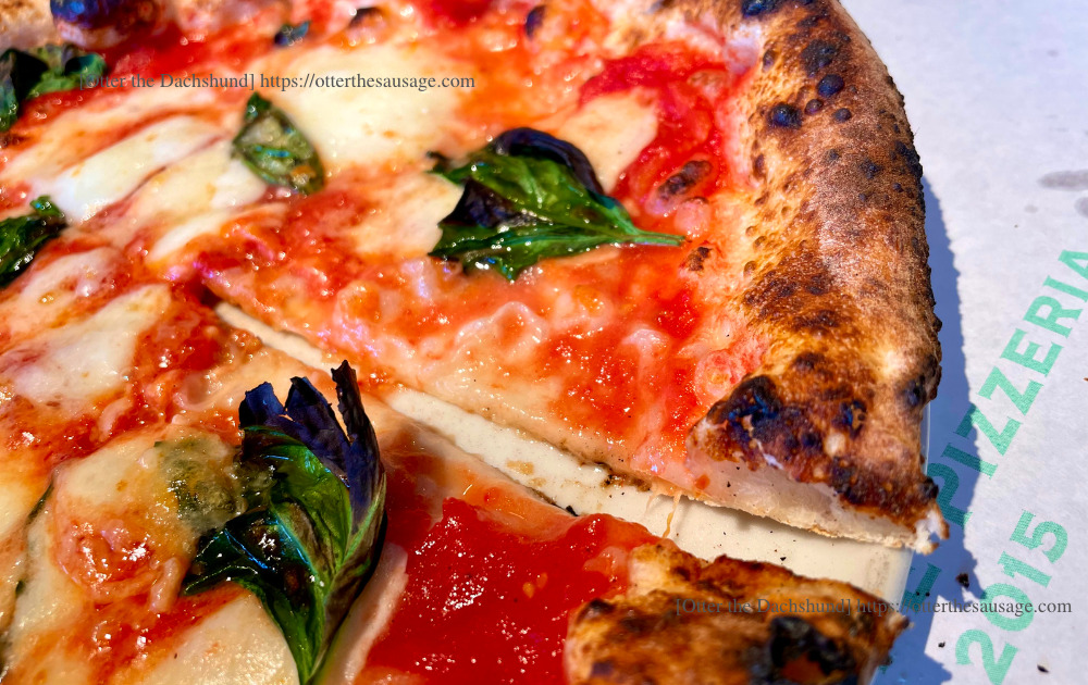 photo_犬と旅行_犬連れ旅行_Á FENESTELLA TRATTORIA E PIZZERIA_ア　フェネステッラ_軽井沢_犬連れランチ_イタリアン_ピッザリア_マルゲリータ_ナポリ風ピザ